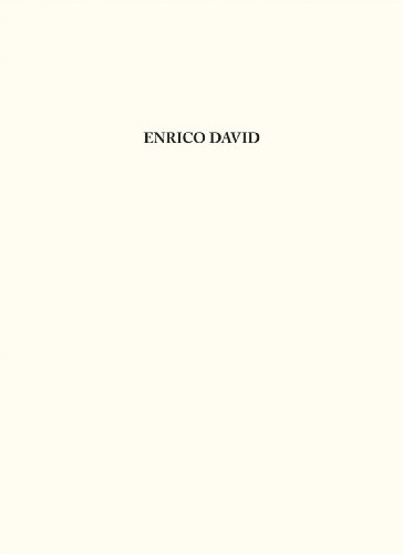 9783865605801: Enrico David