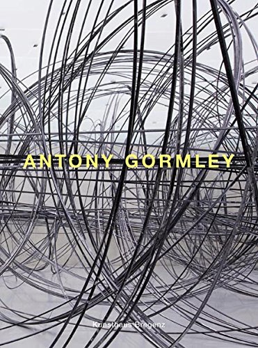 Antony Gormley (9783865606167) by Damasio, Antonio; Steinweg, Markus