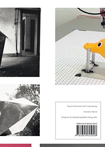 9783865606723: Transitory Objects Thyssen-Bornemisza Art Contemporary