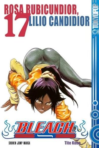 Bleach 17 - Tite Kubo