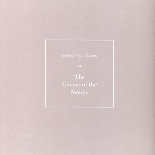 The Curves of the Needle (German Edition) (9783865880901) by Evans, Cerith Wyn