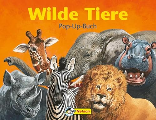 Wilde Tiere. Ein Pop-up-Bilderbuch (9783866062320) by Gill Davies