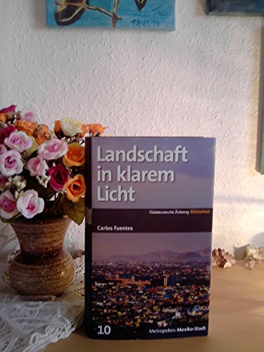 9783866157927: Landschaft in klarem Licht