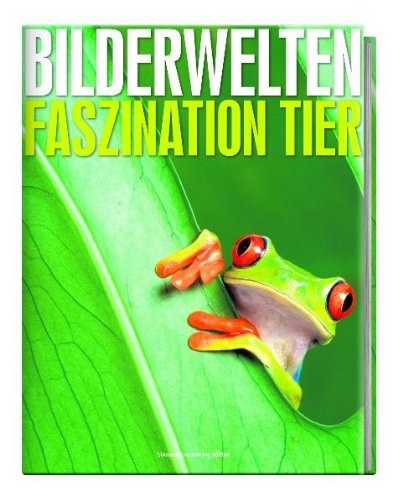 9783866158085: Bilderwelten - Faszination Tier