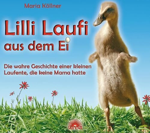 Lilli Laufi aus dem Ei : Die wahre Geschichte einer kleinen Laufente, die keine Mama hatte - Maria Köllner