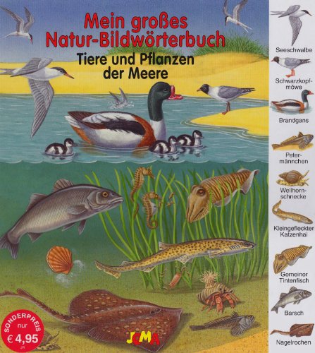 Stock image for Tiere und Pflanzen der Meere: Mein groes Natur Bildwrterbuch for sale by medimops