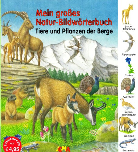 Stock image for Tiere und Pflanzen der Berge: Mein groes Natur Bildwrterbuch for sale by medimops