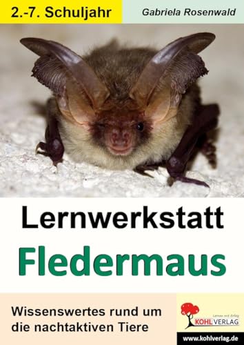 Beispielbild fr Lernwerkstatt Die Fledermaus zum Verkauf von medimops