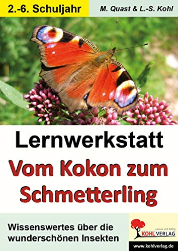 Beispielbild fr Lernwerkstatt Vom Kokon zum Schmetterling zum Verkauf von medimops