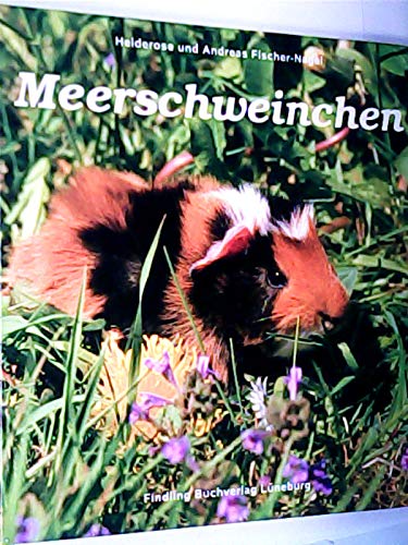 Imagen de archivo de Meerschweinchen a la venta por Versandantiquariat Felix Mcke