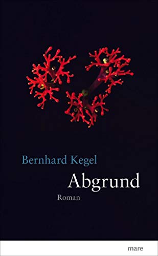 Abgrund - Kegel, Bernhard