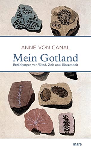Stock image for Mein Gotland: Erzhlungen von Wind, Zeit und Einsamkeit for sale by medimops