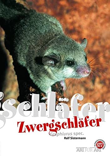 Stock image for Zwergschlfer: Art fr Art for sale by medimops