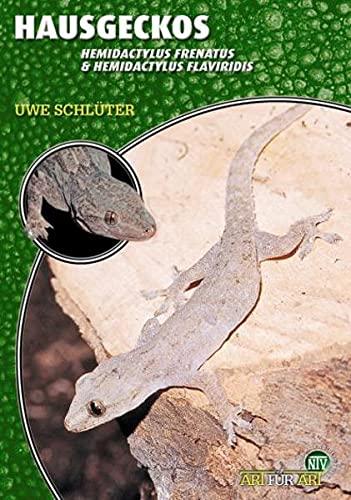 Hausgeckos: Hemidactylus frenatus & Hemidactylus flaviviridis (Art für Art / Terraristik) - Schlüter Uwe