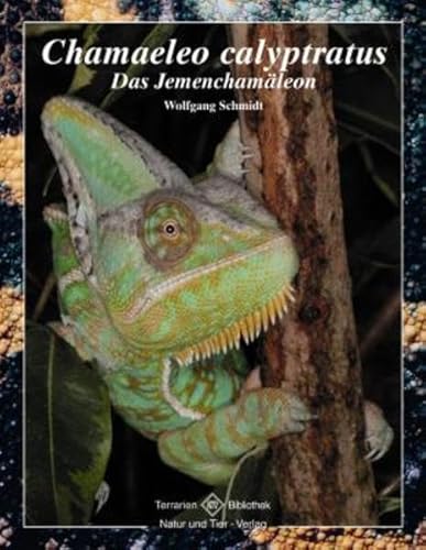 Chamaeleo calyptratus: Das Jemenchamäleon - Schmidt, Wolfgang