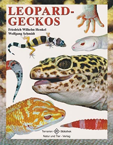 Stock image for Leopardgeckos for sale by medimops