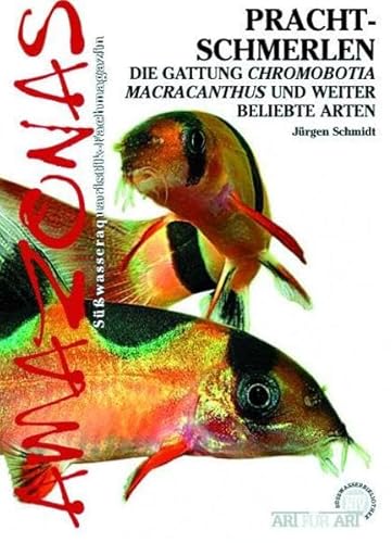 Beispielbild fr Art fr Art: Prachtschmerlen: Amazonas / Chromobotia Macracanthus und weitere beliebte Arten zum Verkauf von medimops