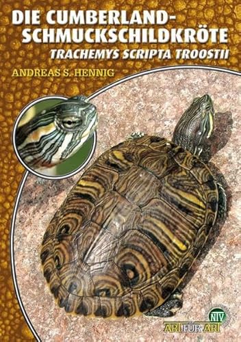 Beispielbild fr Die Cumberland-Schmuckschildkrte: Trachemys Scripta Troostii zum Verkauf von medimops