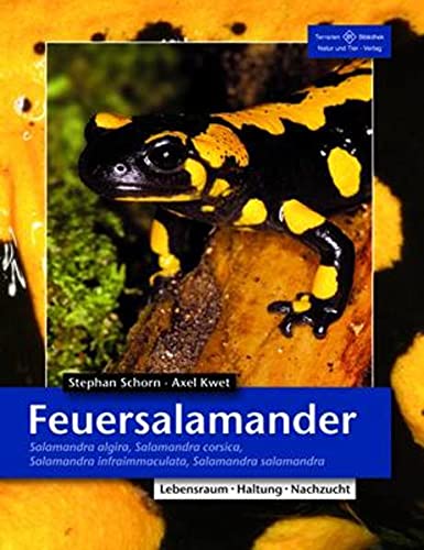 9783866591561: Feuersalamander: Salamandra algira, Salamandra corsica, Salamandra infraimmaculata, Salamandra salamandra