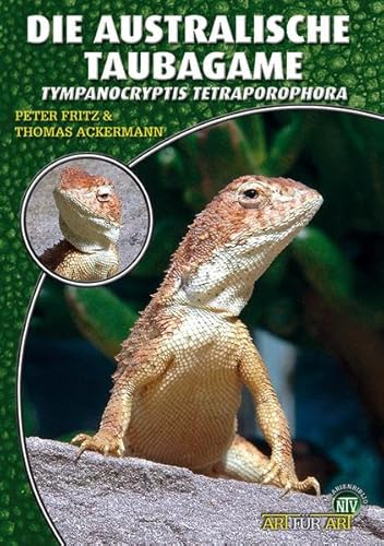 9783866591707: Die australische Taubagame: Tympanocryptis Tetraporophora