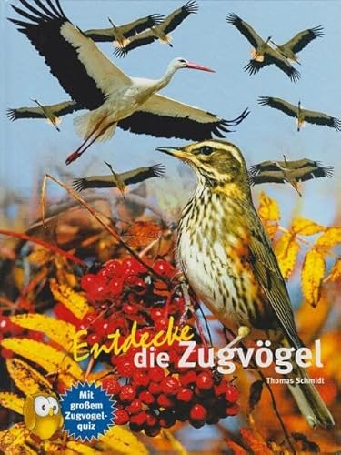 Stock image for Entdecke die Zugvgel for sale by medimops