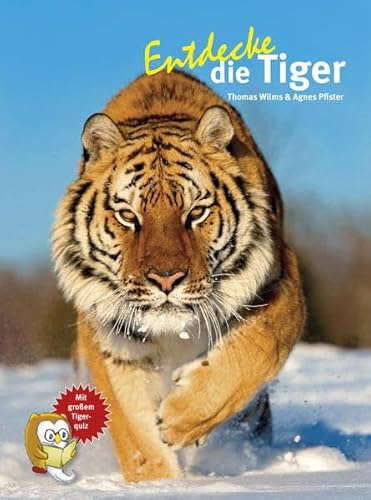 Beispielbild fr Entdecke die Tiger (Entdecke - Die Reihe mit der Eule / Kindersachbuchreihe) zum Verkauf von medimops