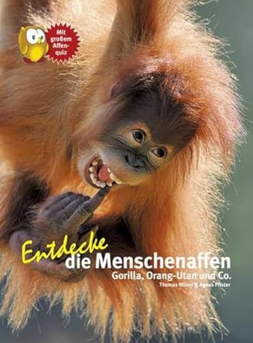 Imagen de archivo de Entdecke die Menschenaffen -Language: german a la venta por GreatBookPrices