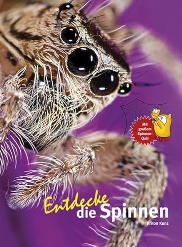 Stock image for Entdecke die Spinnen -Language: german for sale by GreatBookPrices