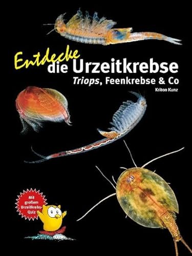 Stock image for Entdecke die Urzeitkrebse for sale by GreatBookPrices
