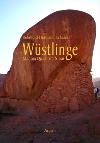 Stock image for Wstlinge: MnnerQuest im Sinai for sale by medimops