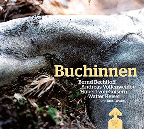 Imagen de archivo de Buchinnen, m. 1 Audio-CD u. 1 DVD: Bildband mit Musik-CD und Making of DVD a la venta por Buchmarie