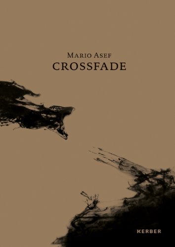 Beispielbild fr Mario Asef: Crossfade zum Verkauf von Midtown Scholar Bookstore