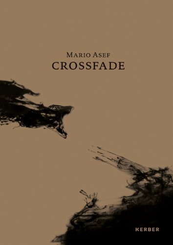Stock image for Mario Asef: Crossfade for sale by Midtown Scholar Bookstore