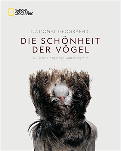 Imagen de archivo de National Geographic: Die Schnheit der Vgel: 130 Jahre einzigartige Vogelfotografie a la venta por Antiquarius / Antiquariat Hackelbusch