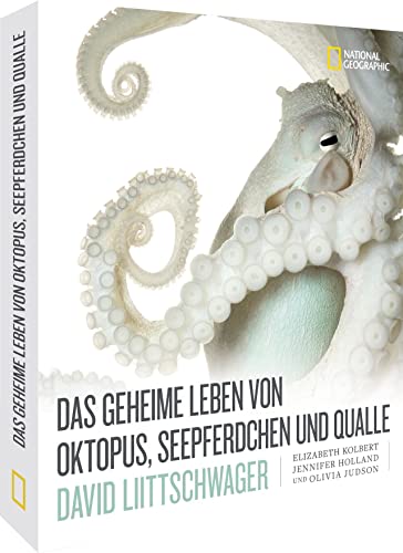 Stock image for Das geheime Leben von Oktopus, Seepferdchen und Qualle for sale by Revaluation Books