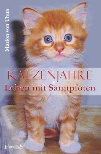 Beispielbild fr Katzenjahre. Leben mit Samtpfoten zum Verkauf von medimops