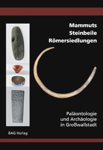 Beispielbild fr Mammuts   Steinbeile   Rmersiedlungen Palontologie und Archologie in Growallstadt zum Verkauf von Buchpark