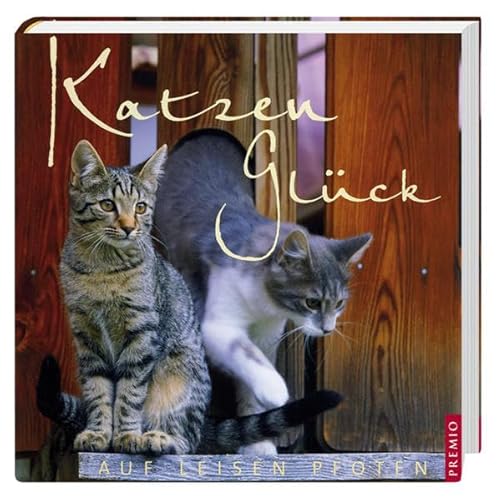 Stock image for Katzenglck auf leisen Pfoten for sale by medimops