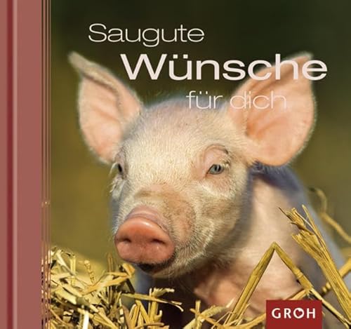 9783867131827: Saugute Wnsche fr dich: Ich wnsch dir sauviel Glck!