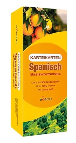 Stock image for Karteikarten Spanisch Basiswortschatz: Mehr als 500 Karteikarten. ber 1500 Wrter. Mit Lautschrift for sale by medimops