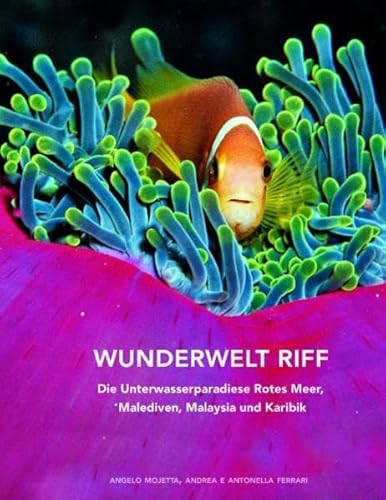 Imagen de archivo de Wunderwelt Riff - Die Unterwasserparadiese Rotes Meer, Malediven, Malaysia und Karibik a la venta por Antiquariat Hans Wger