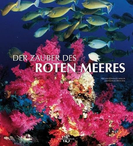 Imagen de archivo de Zauber des Roten Meeres (Natur, Tiere) a la venta por medimops