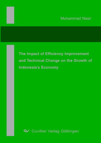 9783867277747: The Impact of Efficiency Improvement and Technical Change on The Growth of Indonesia's Economy