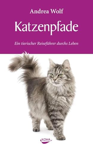 Stock image for Katzenpfade for sale by medimops