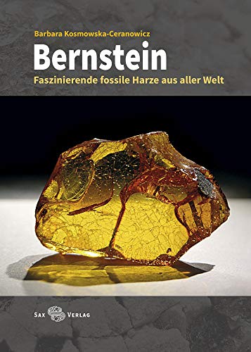 Stock image for Bernstein: Faszinierende fossile Harze aus aller Welt for sale by medimops