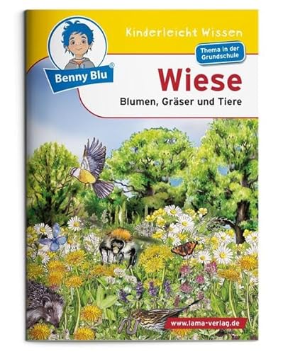 Stock image for Wiese - Blumen, Grser und Tiere for sale by medimops