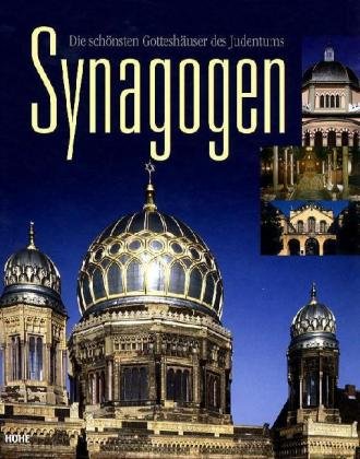 Stock image for Synagogen for sale by Books From California