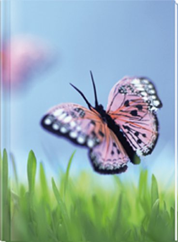 9783867597302: Alpha Edition Carnet de notes vierge Papillon (Import Allemagne)