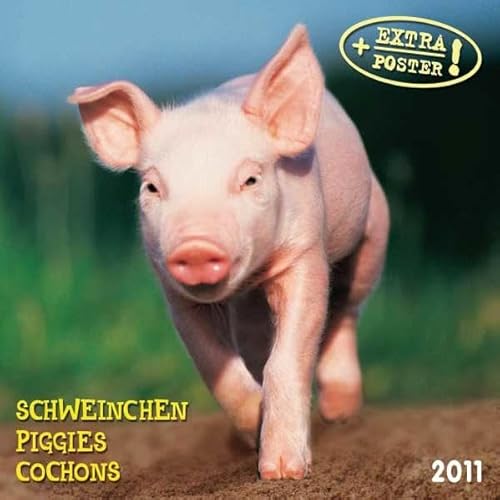 9783867658508: Piggies. Calendario 2011 (artwork)