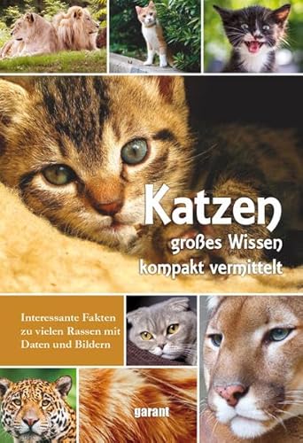 Beispielbild fr Katzen: VON ABESSINIERKATZE BIS WALDKATZE zum Verkauf von medimops